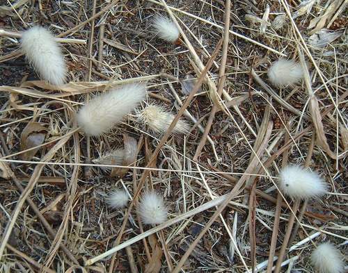 ot.jpg (61930 bytes)